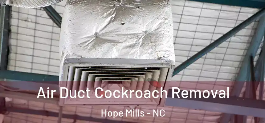  Air Duct Cockroach Removal Hope Mills - NC
