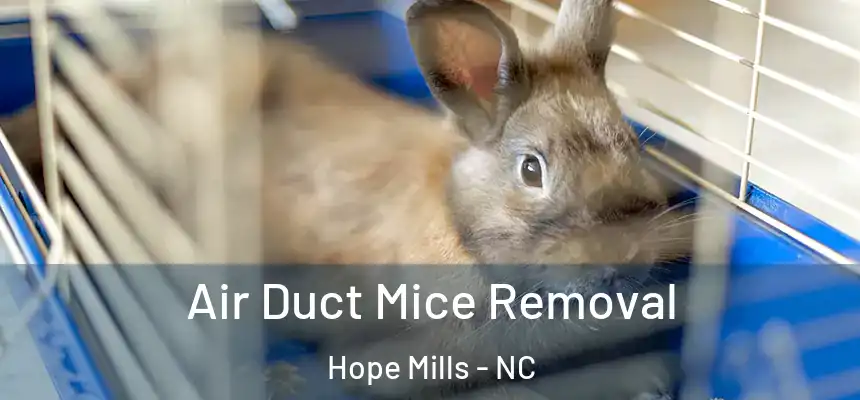 Air Duct Mice Removal Hope Mills - NC