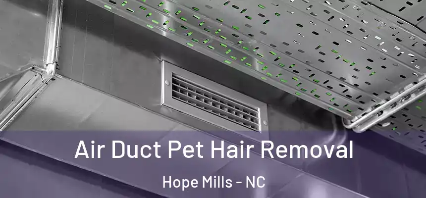 Air Duct Pet Hair Removal Hope Mills - NC