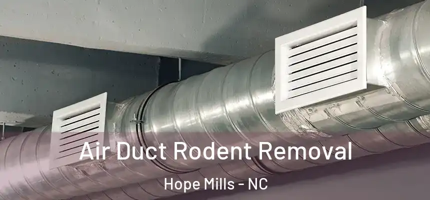  Air Duct Rodent Removal Hope Mills - NC