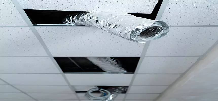 Our Air Duct Pet Hair Removal Services in Hope Mills, NC