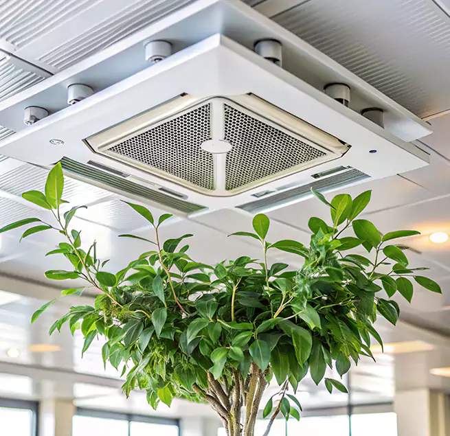 Why Homeowners & Businesses Trust Us in Hope Mills, NC?